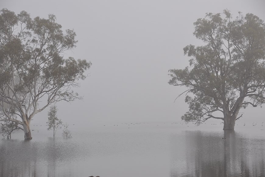 Mist over Piggery Lake, Yanga National Park