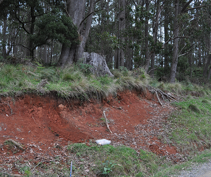 Roadside embankment showing a Red Dermosol in the Nowendoc/Tuggolo Creek region in the Hunter catchment NSW.