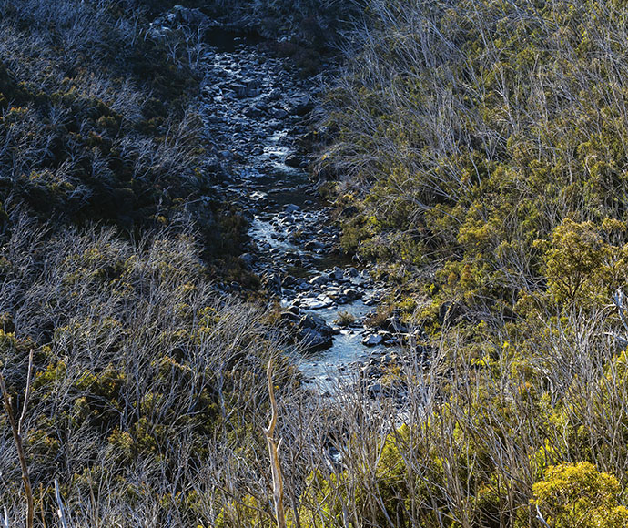 Snowy river near Guthega, NSW