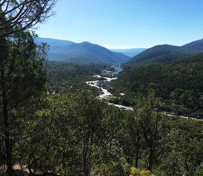 A river flows through a forested valley with mountains in the background