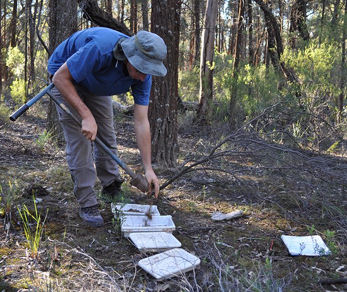 A man leaning over soil sampling in Munghorn Gap Nature Reserve in the upper Hunter catchment for entry into the SALIS database.