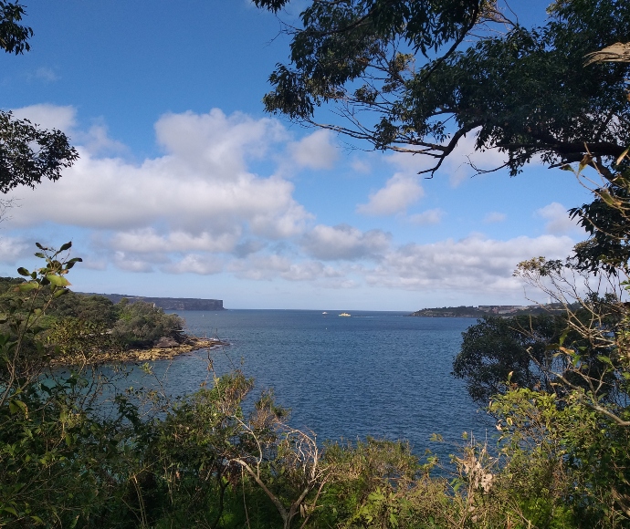 Harbour view from Georges Head, Sydney Harbour National Park