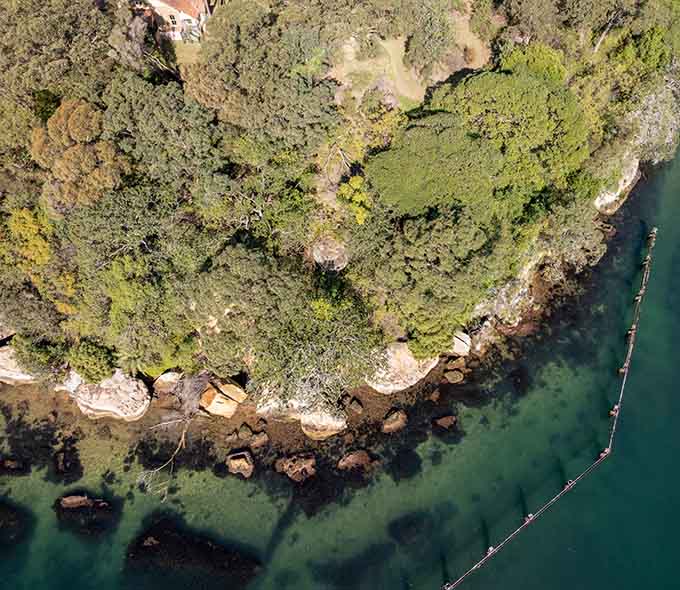 Aerial view of a coastline with green vegetation and rocky shores