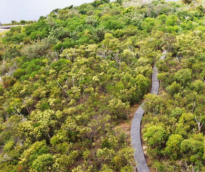 Middle Head walking track