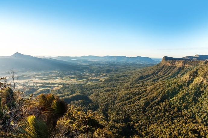 A panoramic view from Pinnacle Lookout in Border Ranges National Park