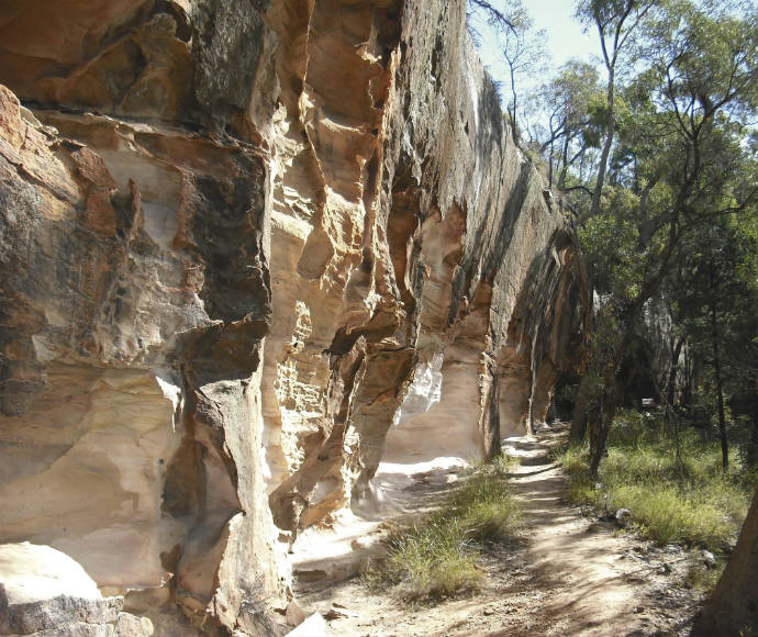 Mesmerising rock formations within the Abroginal area at Dandry Gorge. The rock formations create breath taking patterns, and are gently illuminated by the sunlight. Very tall and vibrant green trees sway in the background, with some grass growing amongst the vegetation.