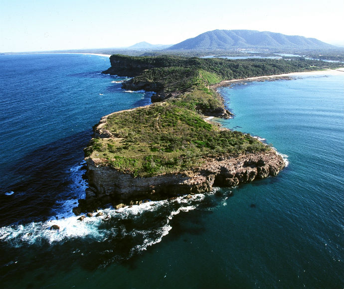 Scenic view of the coastline at Kattang Nature Reserve, featuring rugged cliffs, lush greenery, and the Pacific Ocean in the background.