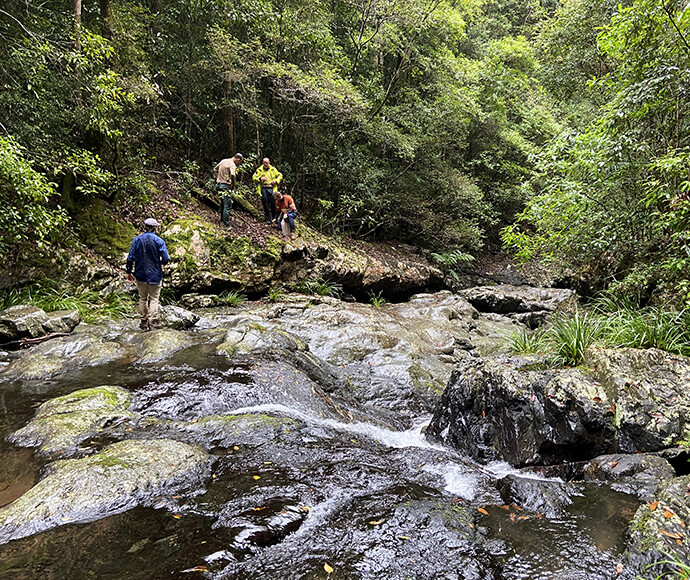 Four workers accessing a potential crossing point on the Urumbilum River, surrounded by lush forest.