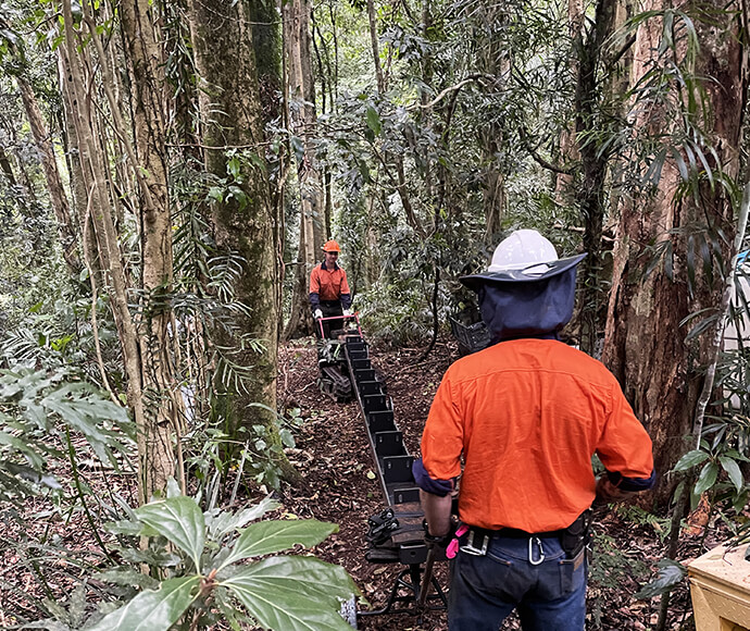 Two workers the steel beams in a rainforest