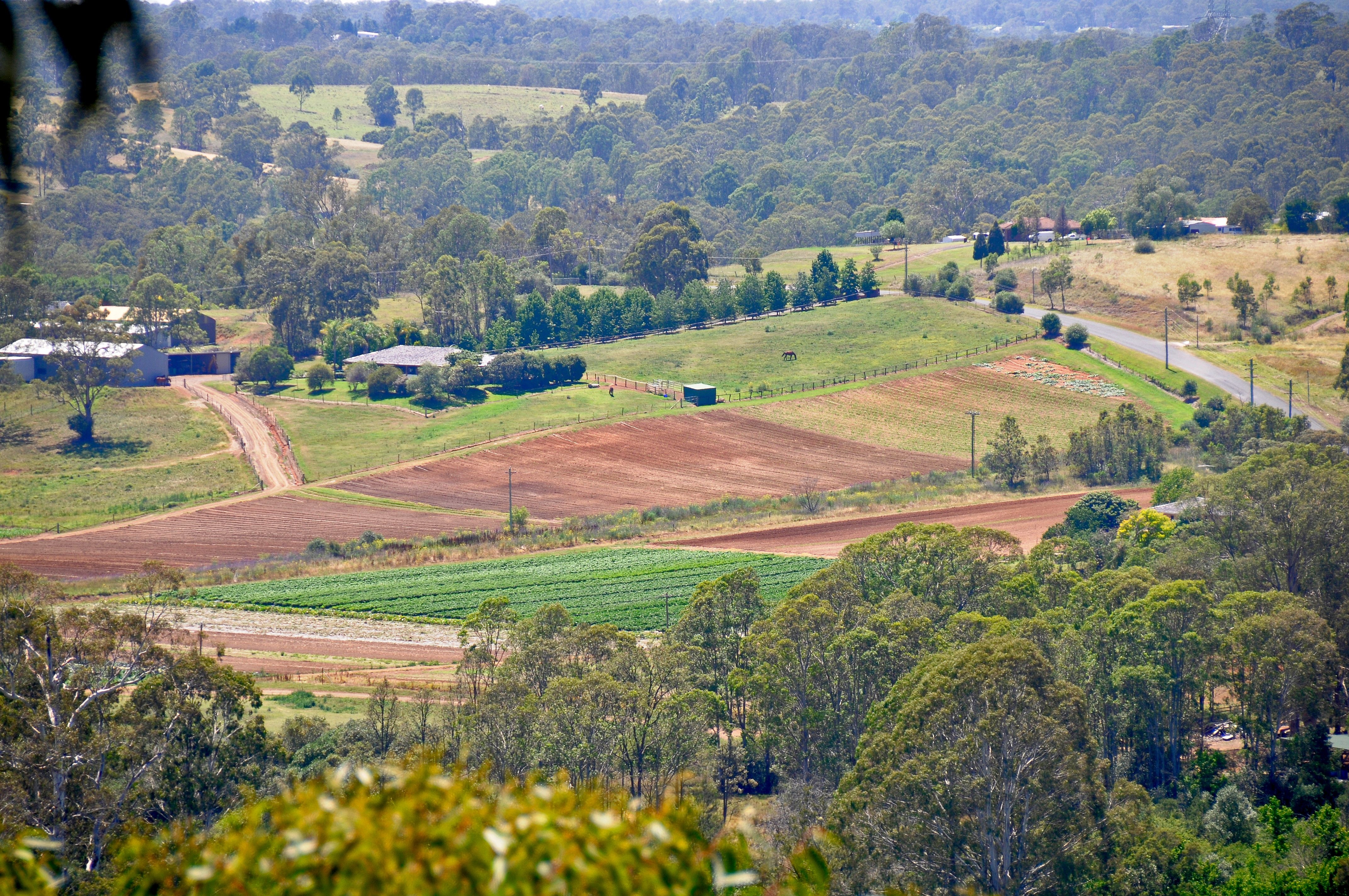 A panoramic view from the lookout at Bents Basin Conservation Area, showcasing a vibrant farmland scene. In the center, fields of crops stretch out, bordered by small hills covered in trees. A few houses are nestled near the farmland, adding to the rural charm of the landscape.