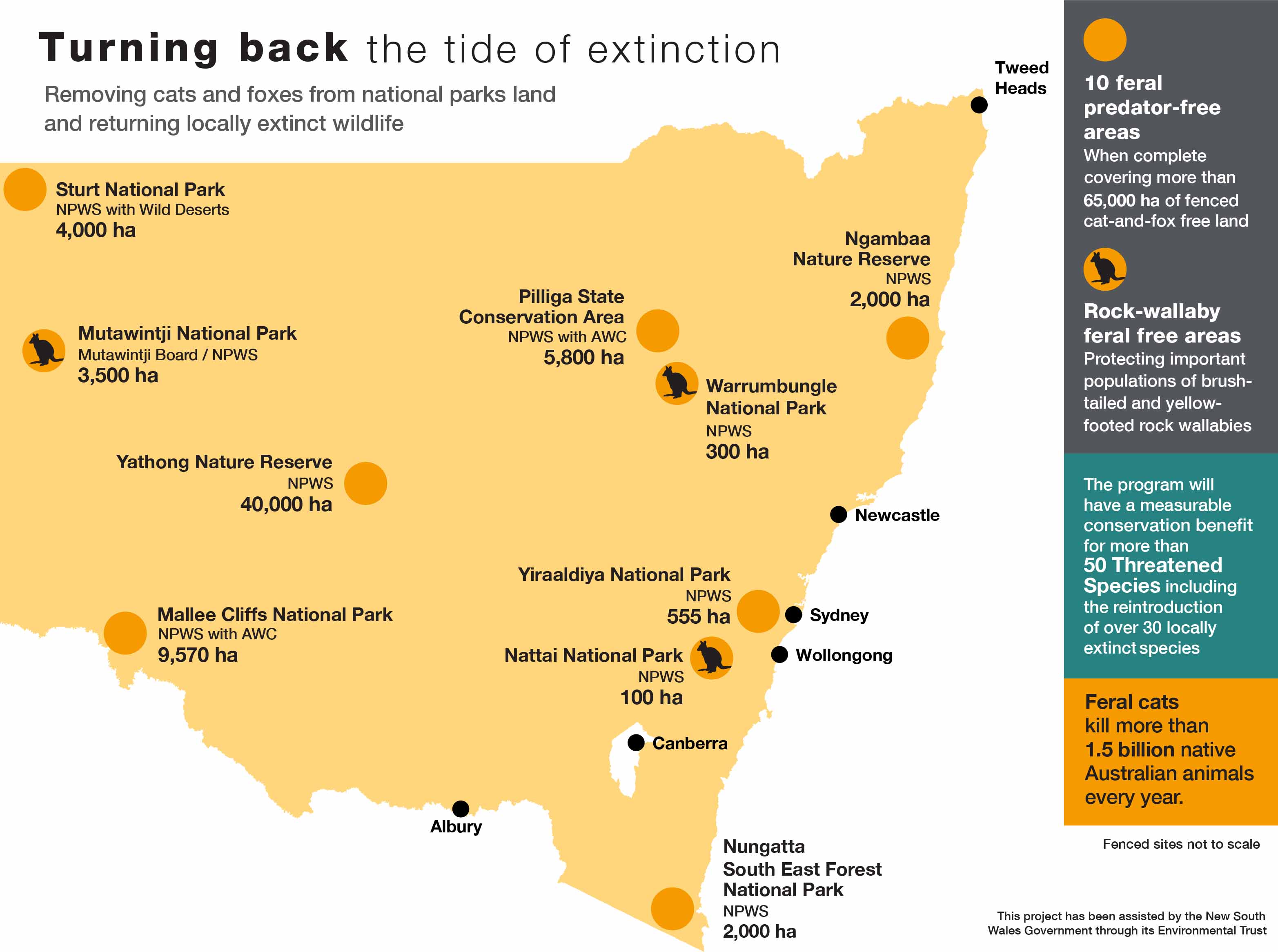 "Map of New South Wales, Australia, highlighting 10 feral predator-free areas in national parks and reserves. The areas include Sturt National Park (4,000 ha), Mutawintji National Park (3,500 ha), Yathong Nature Reserve (40,000 ha), Mallee Cliffs National Park (9,570 ha), Pilliga State Conservation Area (5,800 ha), Warrumbungle National Park (300 ha), Yiraaldiya National Park (555 ha), Nattai National Park (100 ha), Nungatta South East Forest National Park (2,000 ha), and Ngambaa Nature Reserve (2,000 ha). 