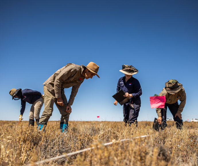 "Scientists wearing high-visibility clothing survey a vibrant green area in the Australian outback. They are standing on red soil, surrounded by sparse vegetation and distant hills. The clear blue sky stretches overhead, emphasizing the remote and rugged environment.