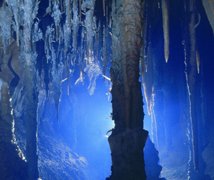 An awe-inspiring view inside the Castaret Cave at Jenolan Karst Conservation Reserve, showcasing intricate limestone formations and stalactites illuminated by soft lighting.