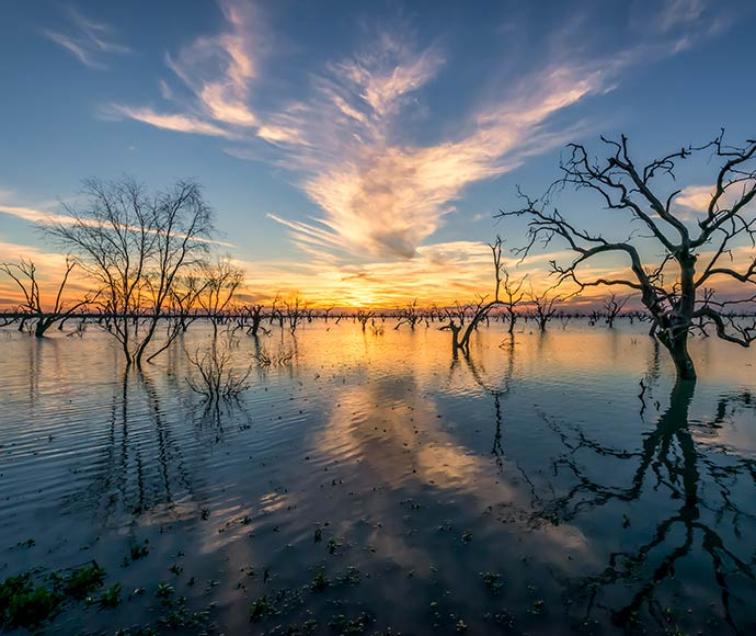 A breath taking sunset at Lake Pamamaroo Menindee, Lakes Kinchega National Park. The clouds pool in the middle of the scene as the sunset kisses the horizon. Tranquil waters shimmer as tree branches are scattered around the water, their reflections demonstrating a tranquil scene. 