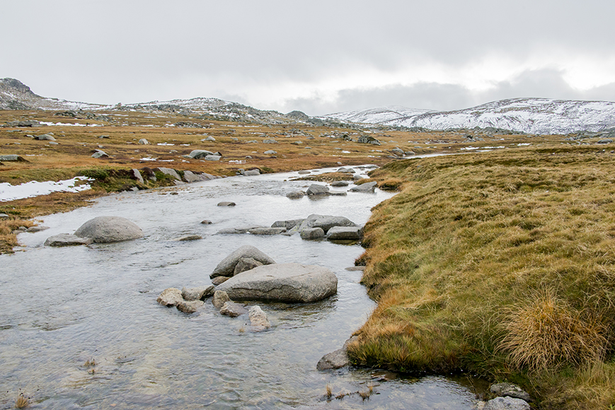 A scenic view of an alpine bog at Kosciuszko Summit, showcasing patches of melting snow surrounded by lush, wetland vegetation.