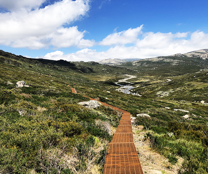 A view of steel mesh walkway stage 2 of the Snowies Iconic Walk