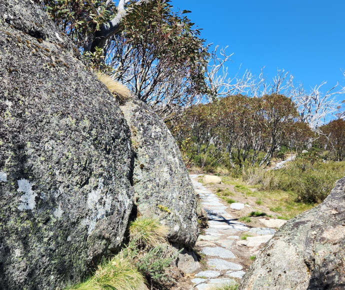 A path of even stone paving passing between large grey boulders with green grass growing from their crevices