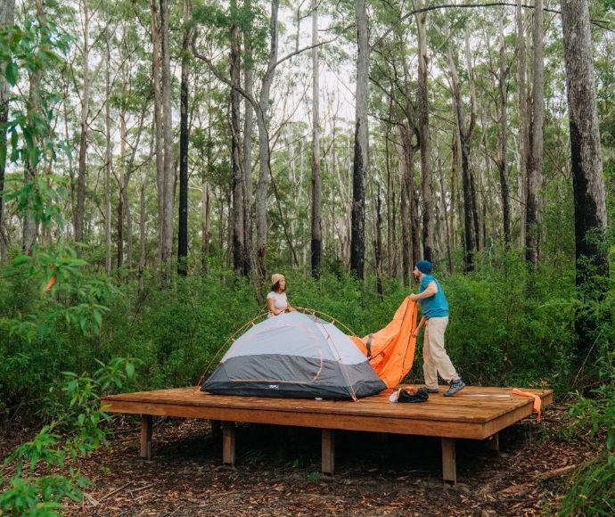 Weeun Weeun Camp in Nightcap National Park, featuring a remote walk-in campsite surrounded by dense forest and lush greenery.