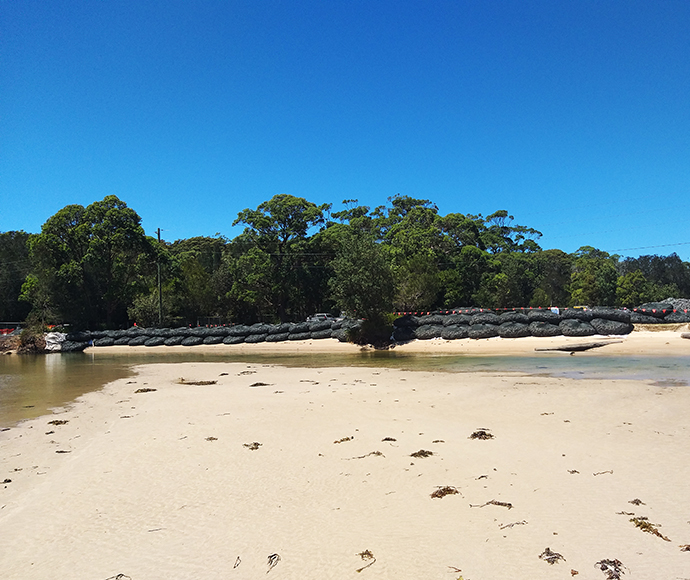 The image shows a section of Bonnie Vale in Royal National Park affected by erosion. The foreground features a large stretch of light sand, indicating significant erosion. Large black sandbags are strategically placed along the shoreline to combat the erosion. Behind the sandbags, the ground shows patches of grass and exposed soil. The background is filled with dense vegetation and tall trees, highlighting the natural environment of the park. The focus is on the erosion control measures and the impact of er