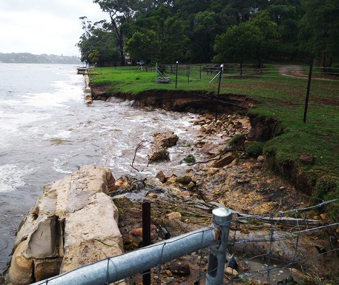 The image shows a section of Bonnie Vale in the Royal National Park affected by scouring and erosion. In the foreground, the ground is visibly eroded, with channels and exposed roots. The background consists of dense vegetation and tall trees, providing a natural environment. The focus is on the impact of erosion on the landscape.