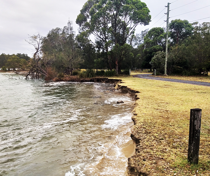 The image depicts a section of eroded land at Bonnie Vale in the Royal National Park. The foreground showcases deep channels and exposed tree roots caused by scouring and erosion. Dense vegetation and tall trees fill the background, framing the affected area and highlighting the natural environment of the park. The focus is on the severe impact of erosion on the landscape.