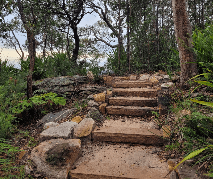 Brown sandstone steps ascending up through green bushland. 