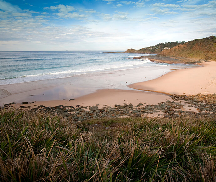 A small pristine beach surrounded by native scrub.