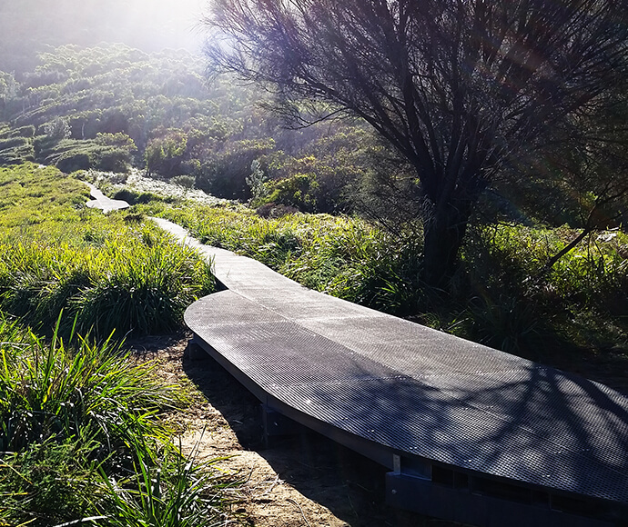 A raised walkway through native grasses