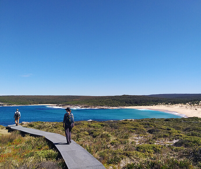 People walking on a raised track surrounded by native grasses. The track is taking them over a headland with a brilliant view of a beach and the ocean