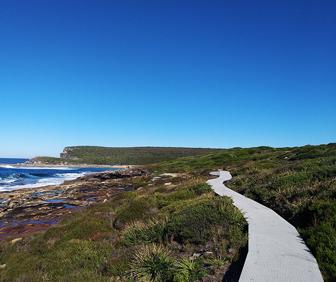 A path winding along the coastline, raised above native grasses and scrub