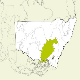 Map of New South Wales, Australia, highlighting the South Western Slopes bioregion in green. The rest of the state is shown in white, with some geographical features like rivers and mountain ranges outlined.