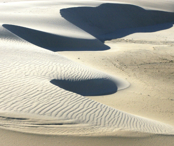 Sand dunes on worimi conservation lands. Their appearance is striking and grand, with intricate details including gentle ripples across the sand dunes, showcasing the fragile and mesmerising movement of sand across the dunes. The sun shines brightly casting various shadows across the dunes, creating a dramatically beautiful scene.