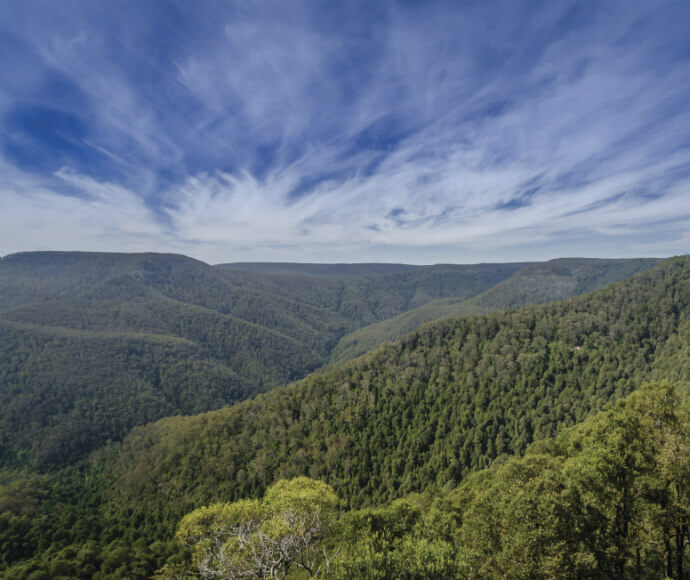 A breathtaking view of Barrington Tops National Park, showcasing a lush, mountainous landscape under a clear blue sky.