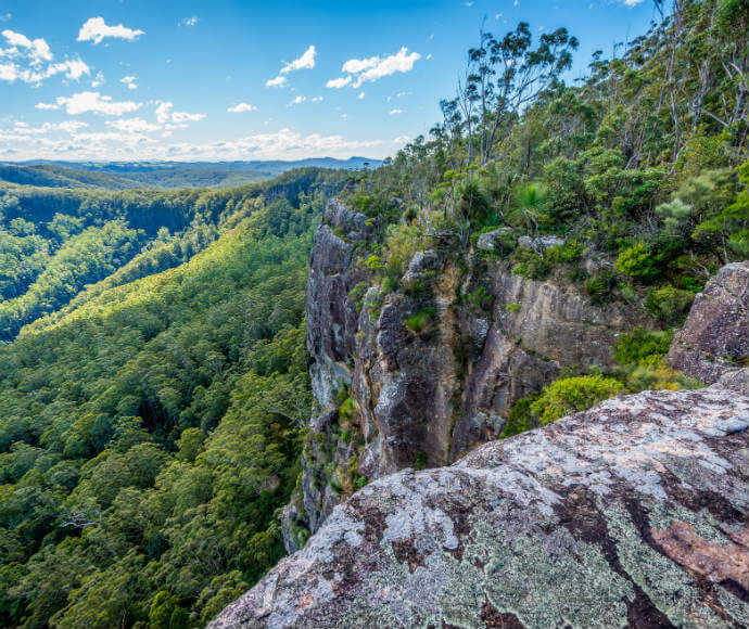 A scenic view from a cliff edge in Coorabakh National Park, showcasing a vast expanse of lush green forested valleys and hills under a bright blue sky with scattered clouds. The cliff is covered with patches of vegetation and trees, highlighting the natural beauty and rugged terrain of the park.