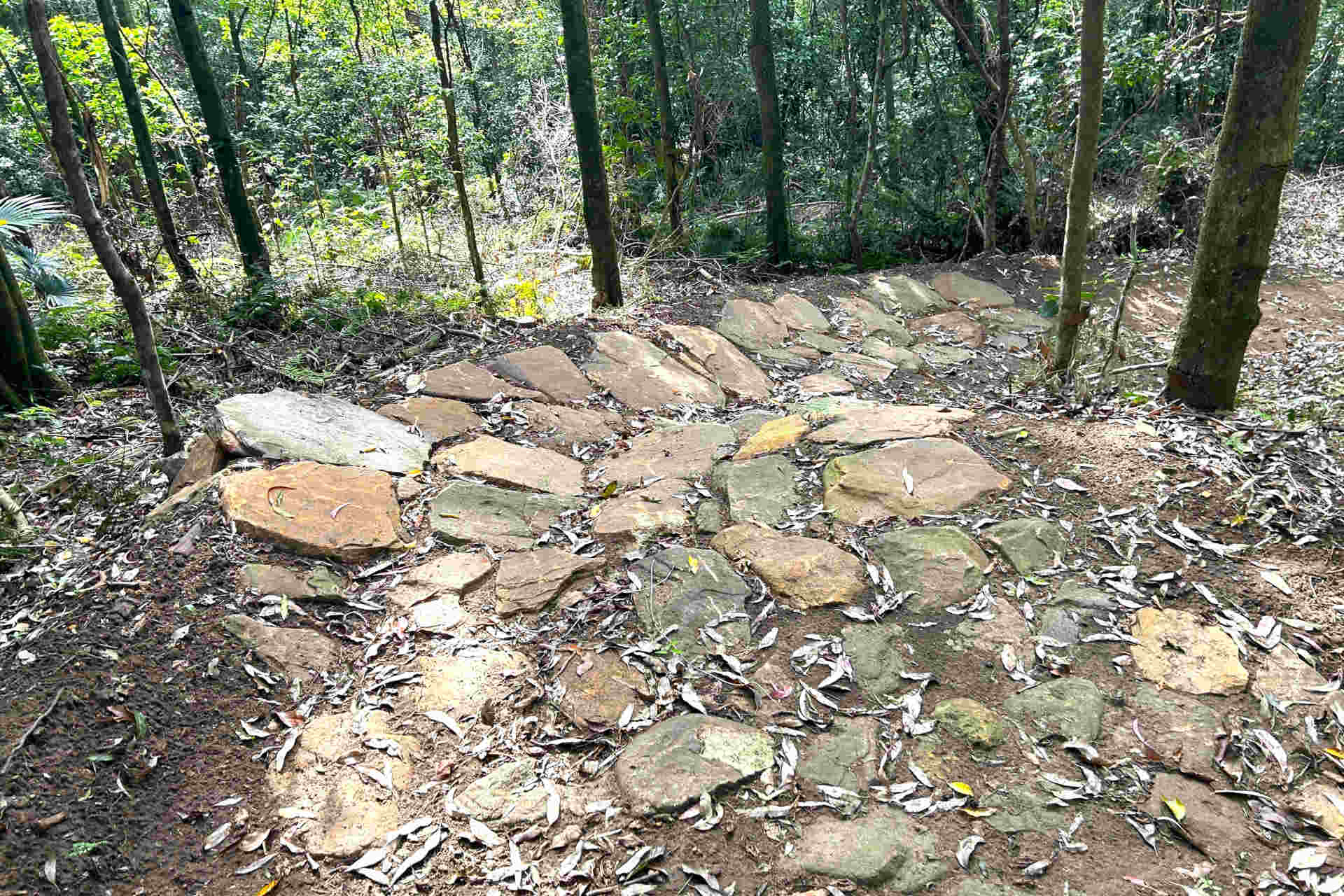 Hewn rocks lying flat along the curve of a dirt trail in the bush