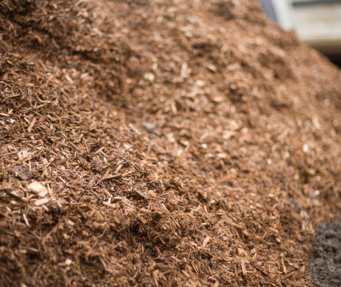 Close-up photograph of a mound of pine-based mulch with details of shredded wood