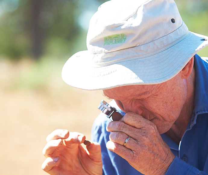 Dr David Eldridge using a magnifying glass to expect a round piece of crusted soil