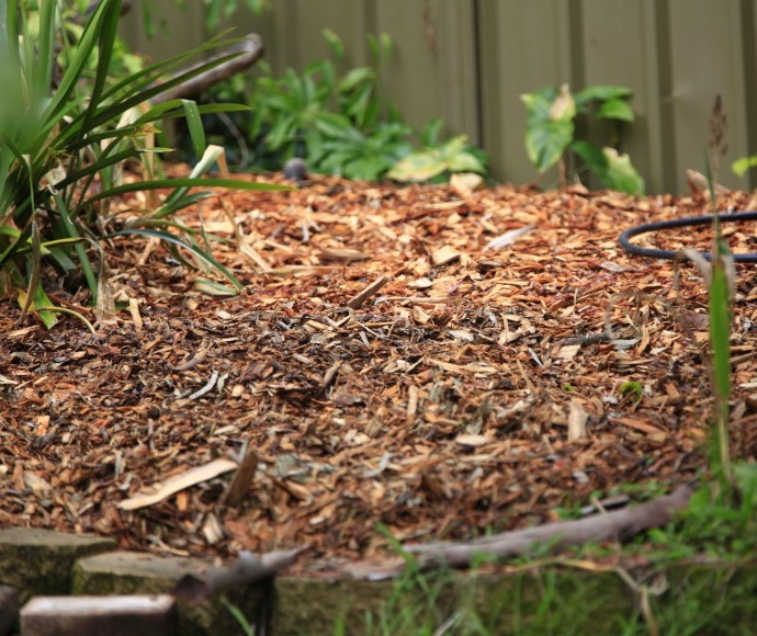 Wood chip mulch on a garden bed