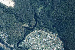 Aerial view of Maloneys Creek estuaries, with dense greenery, showing a curved shoreline on the bottom edge and a river winding through the forest from the top center.