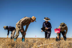 People in official departmental work gear looking closely at the ground and vegetation in a field