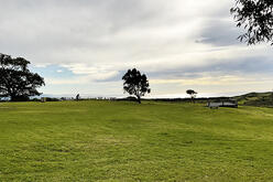 Grassy park with a solitary tree and picnic bench under a cloudy sky.