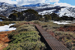 Steel mesh walkway on the Guthega to Charlotte Pass track.