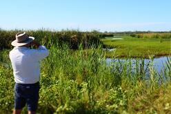 A person from behind, wearing a hat and shorts, looking through binoculars towards a landscape with tall green grasses, water, and a clear blue sky. This serene outdoor setting suggests activities like bird watching or nature observation.