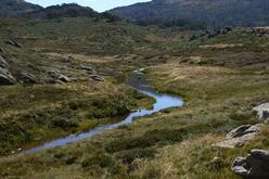 Murrumbidgee River Upper Catchment area with a winding river amidst grassy fields and rocky hills under a clear sky.