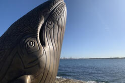 "A bronze whale sculpture in the foreground, featuring detailed carvings for its eyes and mouth. The sculpture sits amidst a tranquil backdrop of calm blue ocean and a smooth rocky shore on a sunny day.