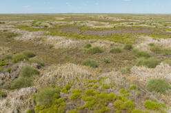 Merrowie Creek floodplain with pooling water scattered across the landscape.