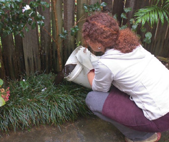 A woman pouring fertiliser on her garden bed